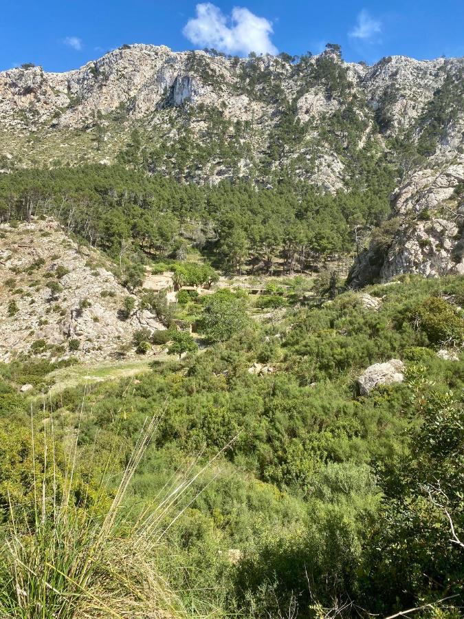 Finca Ses Fontanelles Andratx Esterno foto
