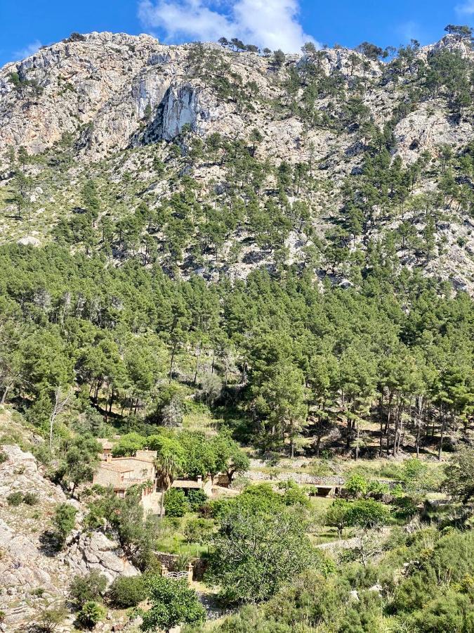 Finca Ses Fontanelles Andratx Esterno foto