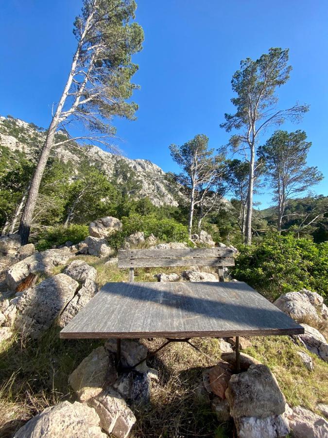 Finca Ses Fontanelles Andratx Esterno foto