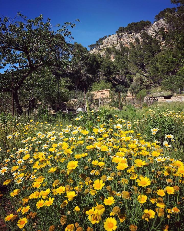 Finca Ses Fontanelles Andratx Esterno foto