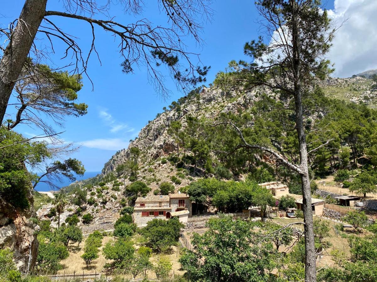 Finca Ses Fontanelles Andratx Esterno foto