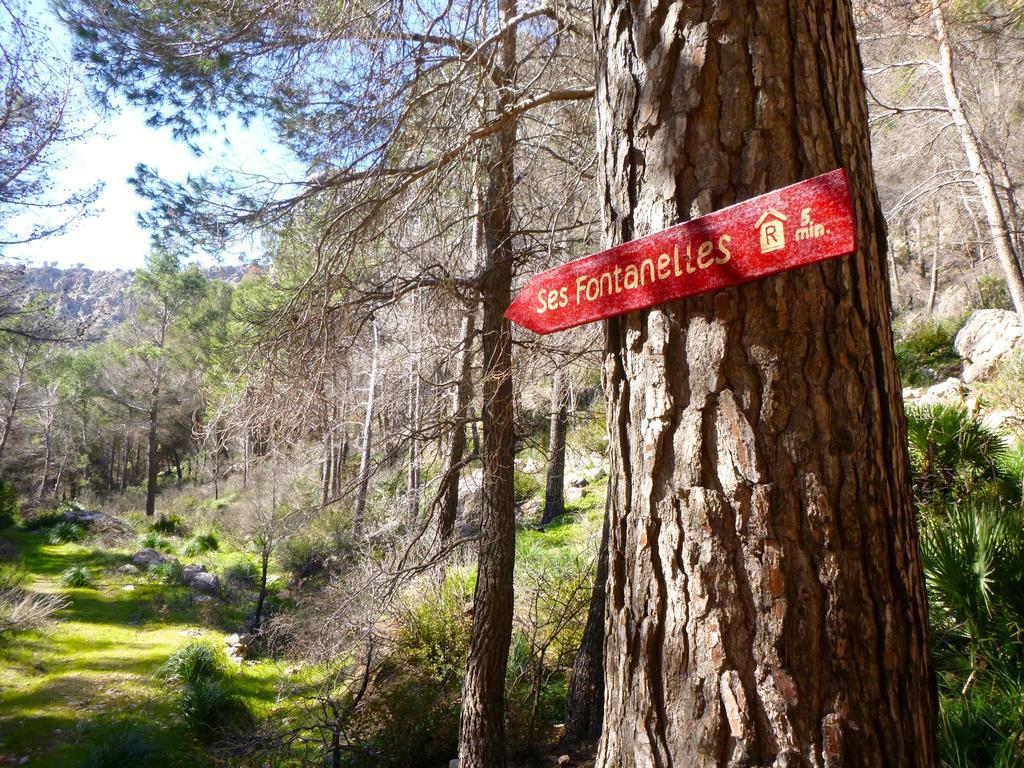Finca Ses Fontanelles Andratx Esterno foto