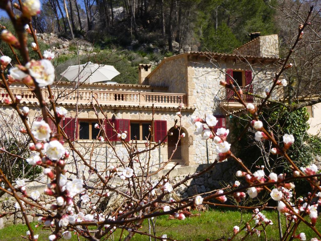 Finca Ses Fontanelles Andratx Esterno foto