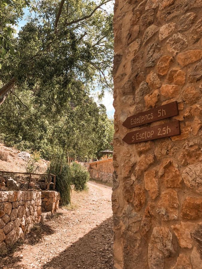 Finca Ses Fontanelles Andratx Esterno foto
